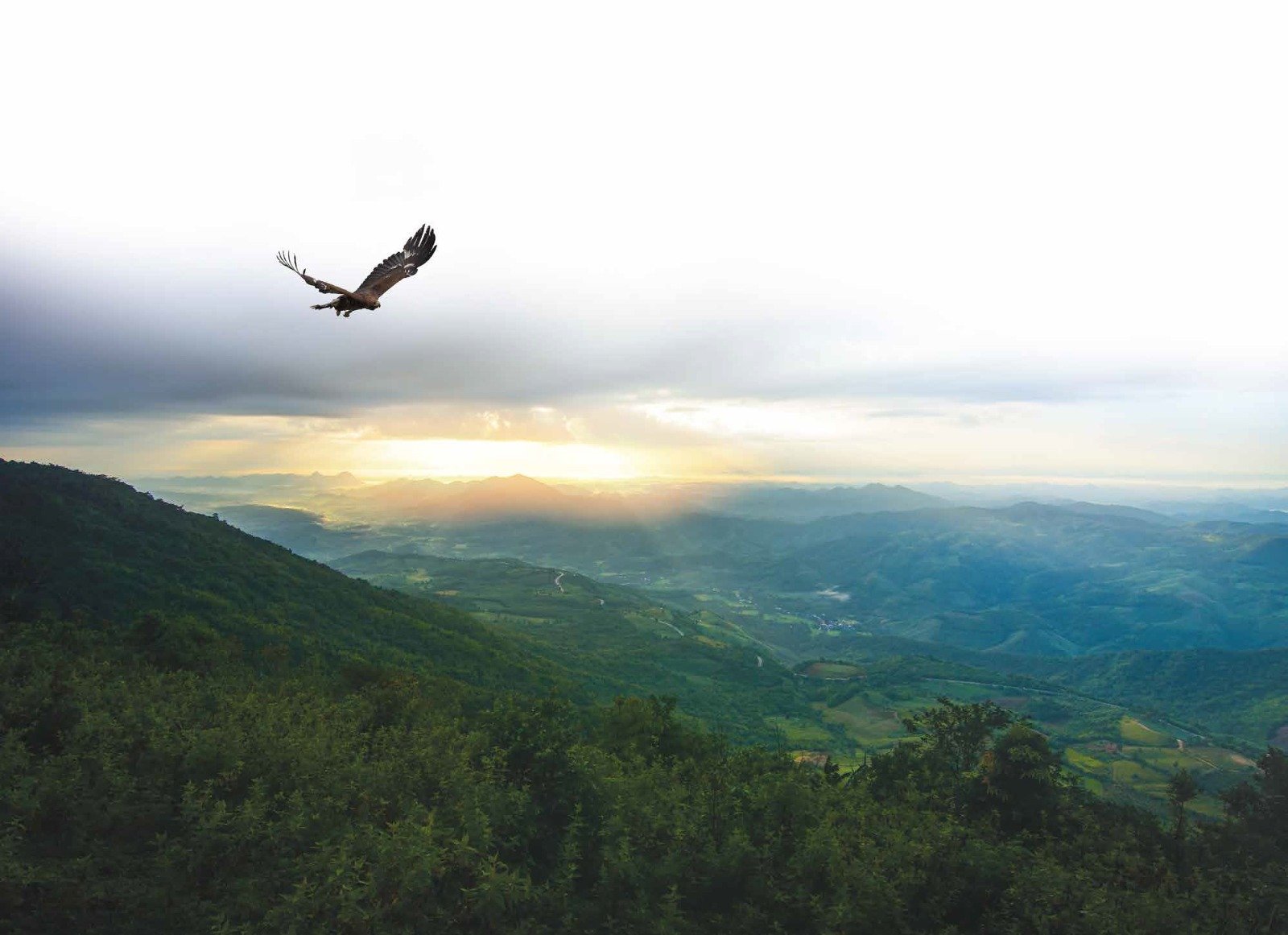 Ashford Location Background